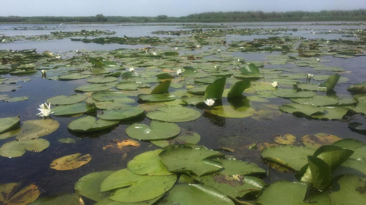 Delta Mayanka Mineri Luaran gambar