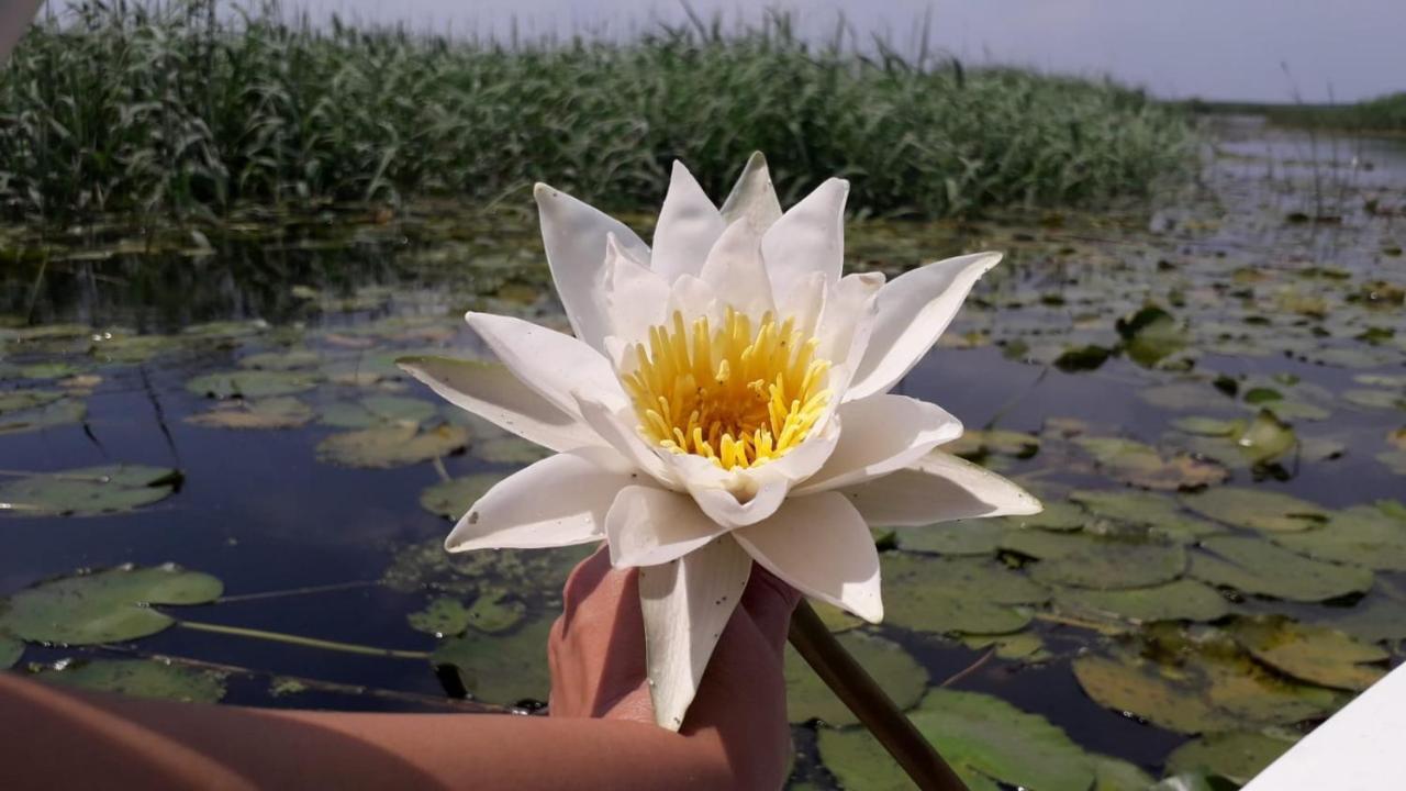 Delta Mayanka Mineri Luaran gambar